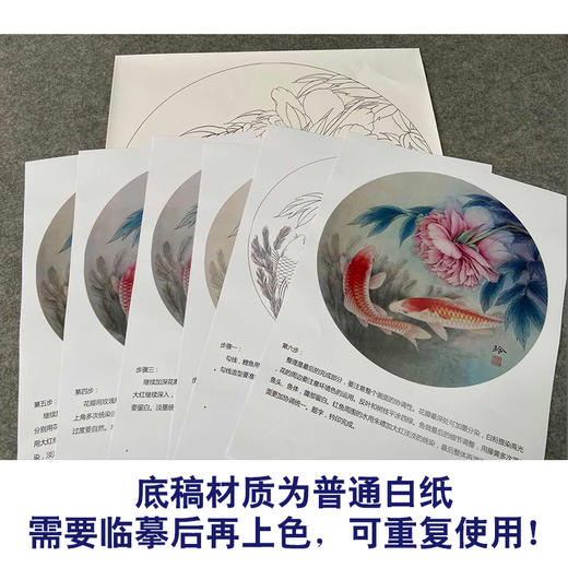 【有步骤、大彩图】郑玲玲工笔画白描底稿圆形小品《鲤逐清波》牡丹鲤鱼初学者临摹花鸟线稿ZL21 商品图3