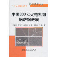 中国600℃火电机组锅炉钢进展/刘正东 程世长 王起江 杨钢 包汉生 干勇 商品图0