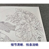 【有步骤、大彩图】郑玲玲工笔画白描稿圆形小品《和风鲤跃》牡丹鲤鱼初学者临摹花鸟线稿ZL18 商品缩略图4