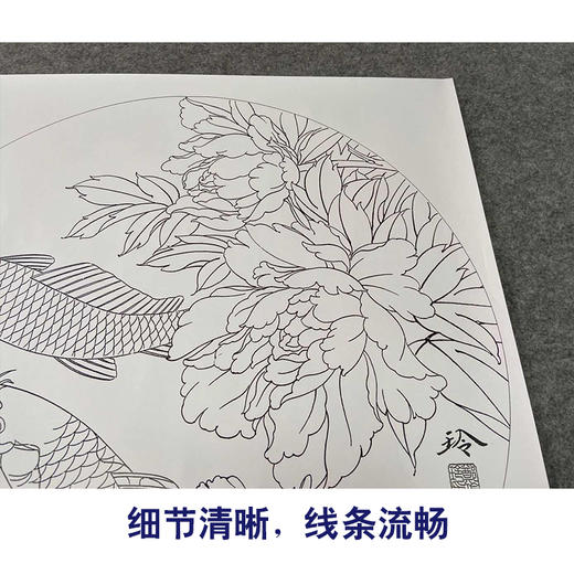 【有步骤、大彩图】郑玲玲工笔画白描稿圆形小品《和风鲤跃》牡丹鲤鱼初学者临摹花鸟线稿ZL18 商品图4