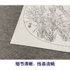 【有步骤、大彩图】郑玲玲工笔画白描底稿小品《兰芳石坚》绶带鸟兰花草初学者临摹花鸟线稿ZL14 商品缩略图4
