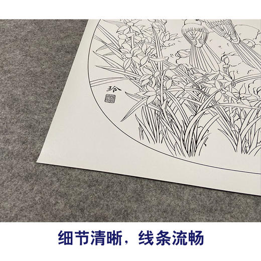 【有步骤、大彩图】郑玲玲工笔画白描底稿小品《兰芳石坚》绶带鸟兰花草初学者临摹花鸟线稿ZL14 商品图4