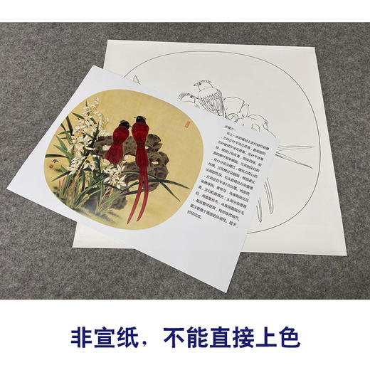 【有步骤、大彩图】郑玲玲工笔画白描底稿小品《兰芳石坚》绶带鸟兰花草初学者临摹花鸟线稿ZL14 商品图2