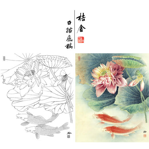 【有步骤、大彩图】郑玲玲工笔画白描底稿《清清荷韵悠悠我心》荷花鲤鱼初学者临摹花鸟线稿ZL06 商品图0