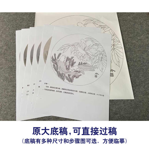【有步骤、大彩图】郑玲玲工笔画白描底稿圆形小品《鲤逐清波》牡丹鲤鱼初学者临摹花鸟线稿ZL21 商品图1