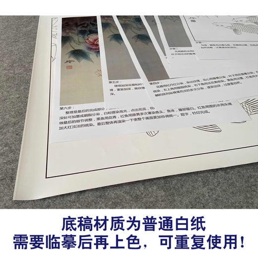 【有步骤、大彩图】郑玲玲工笔画白描底稿《锦上添花》鲤鱼初学者临摹花鸟线稿ZL39 商品图3