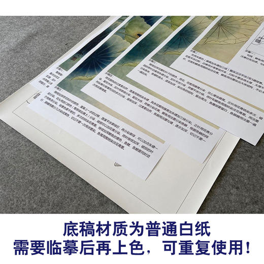【有步骤、大彩图】郑玲玲工笔画白描底稿《荷花叶下鲫鱼醉》荷花鲫鱼初学者临摹花鸟线稿ZL44 商品图3