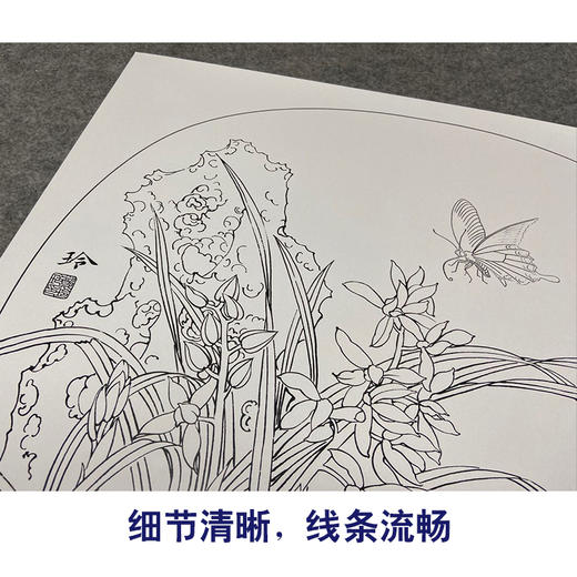 【有步骤、大彩图】郑玲玲工笔画白描底稿小品《兰花双蝶》初学者临摹花鸟线稿ZL15 商品图4
