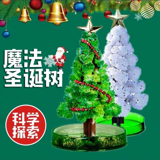 【趣味科学 魔法圣诞结晶树】魔法圣诞结晶树纸上开花科学实验 商品图0