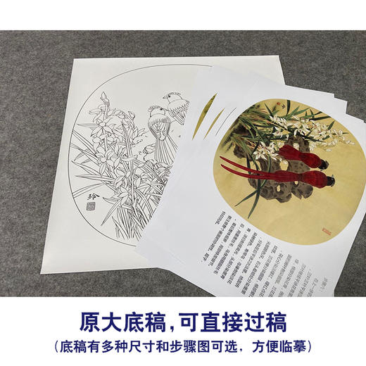 【有步骤、大彩图】郑玲玲工笔画白描底稿小品《兰芳石坚》绶带鸟兰花草初学者临摹花鸟线稿ZL14 商品图1