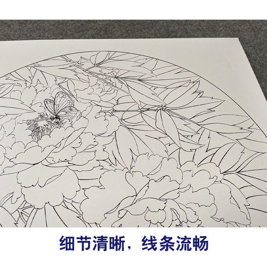【有步骤、大彩图】郑玲玲工笔画白描底稿圆形小品《牡丹蝴蝶图》初学者临摹花鸟线稿ZL11 商品图4