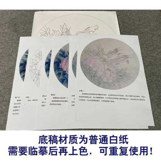 【有步骤、大彩图】郑玲玲工笔画白描底稿圆形小品《悠然自乐》牡丹鲤鱼初学者临摹花鸟线稿ZL19 商品图3