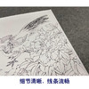 【有步骤、大彩图】郑玲玲工笔画白描底稿《锦色花开》锦鸡牡丹初学者临摹花鸟线稿ZL04 商品缩略图4