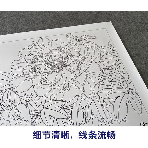 【有步骤、大彩图】郑玲玲工笔画白描稿《双锦比翼》牡丹鲤鱼初学者临摹花鸟线稿ZL40 商品图4