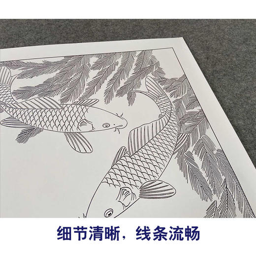 【有步骤、大彩图】郑玲玲工笔画白描底稿小品《竟自游》鲤鱼初学者临摹花鸟线稿ZL28 商品图4