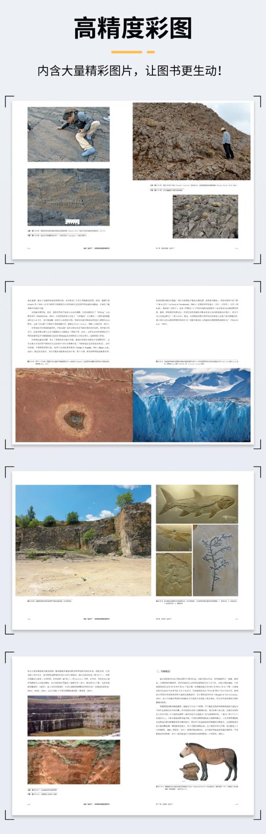 地层“金钉子”：地球演化历史的关键节点 商品图4