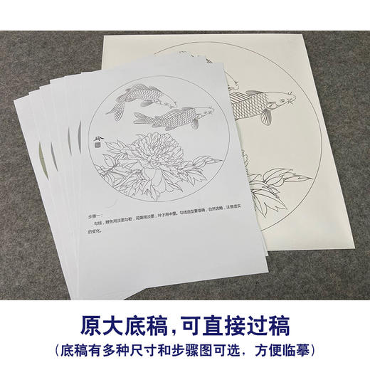 【有步骤、大彩图】郑玲玲工笔画白描底稿圆形小品《闲然自得》牡丹鲤鱼初学者临摹花鸟线稿ZL26 商品图1