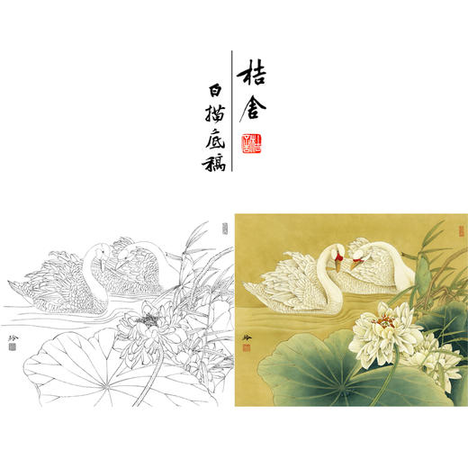 【有步骤、大彩图】郑玲玲工笔画白描底稿小品《物华秋水》荷花天鹅初学者临摹花鸟线稿ZL08 商品图0