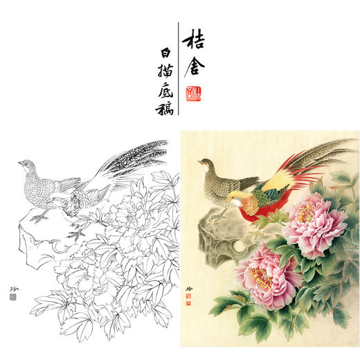【有步骤、大彩图】郑玲玲工笔画白描底稿《锦色花开》锦鸡牡丹初学者临摹花鸟线稿ZL04 商品图0
