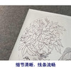 【有步骤、大彩图】郑玲玲工笔画白描底稿圆形小品《清香鱼乐》牡丹鲤鱼初学者临摹花鸟线稿ZL17 商品缩略图4