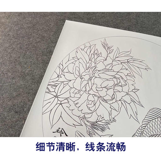 【有步骤、大彩图】郑玲玲工笔画白描底稿圆形小品《清香鱼乐》牡丹鲤鱼初学者临摹花鸟线稿ZL17 商品图4