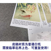 【有步骤、大彩图】郑玲玲工笔画白描底稿《双鲤碧波满塘春》荷花鲤鱼初学者临摹花鸟线稿ZL07 商品缩略图3