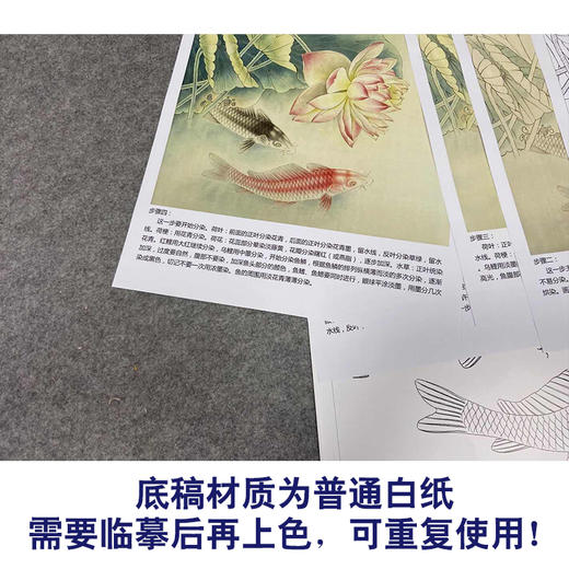 【有步骤、大彩图】郑玲玲工笔画白描底稿《双鲤碧波满塘春》荷花鲤鱼初学者临摹花鸟线稿ZL07 商品图3