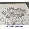 【有步骤、大彩图】郑玲玲工笔画白描稿圆形小品《相依相伴》牡丹鲤鱼初学者临摹花鸟线稿ZL27 商品缩略图4