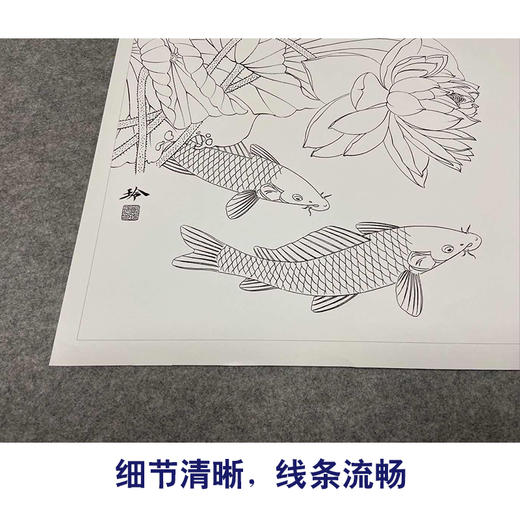 【有步骤、大彩图】郑玲玲工笔画白描底稿《双鲤碧波满塘春》荷花鲤鱼初学者临摹花鸟线稿ZL07 商品图4