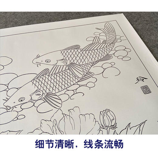 【有步骤、大彩图】郑玲玲工笔画白描底稿《梦里花开》牡丹鲤鱼初学者临摹花鸟线稿ZL37 商品图4