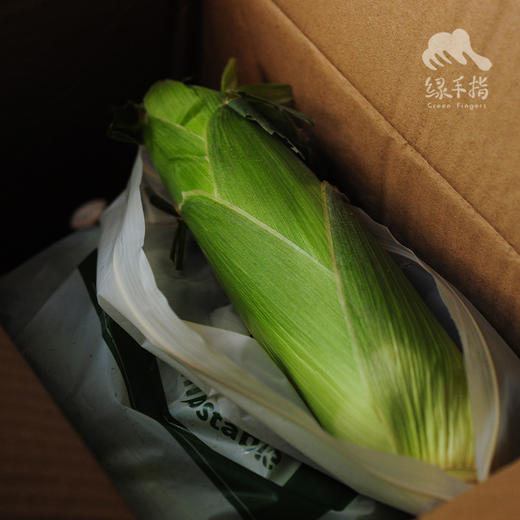 生态水果玉米 | 合作生产*Eco-Fruit corn  | Coproduction 商品图3