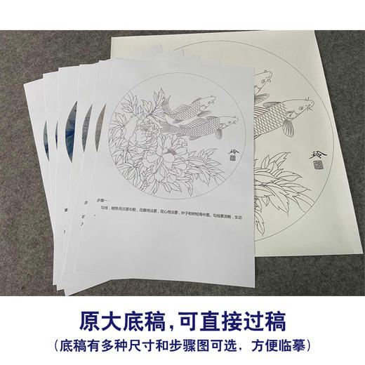 【有步骤、大彩图】郑玲玲工笔画白描底稿圆形小品《悠然自乐》牡丹鲤鱼初学者临摹花鸟线稿ZL19 商品图1