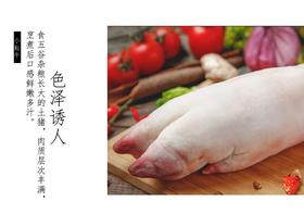 11月同道心选-新品集中秀-