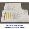 【有步骤、大彩图】郑玲玲工笔画白描底稿小品《兰花双蝶》初学者临摹花鸟线稿ZL15 商品缩略图1