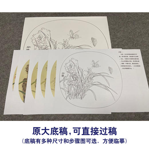 【有步骤、大彩图】郑玲玲工笔画白描底稿小品《兰花双蝶》初学者临摹花鸟线稿ZL15 商品图1