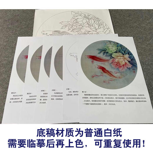 【有步骤、大彩图】郑玲玲工笔画白描稿圆形小品《和风鲤跃》牡丹鲤鱼初学者临摹花鸟线稿ZL18 商品图3