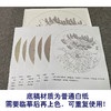 【有步骤、大彩图】郑玲玲工笔画白描稿圆形小品《相依相伴》牡丹鲤鱼初学者临摹花鸟线稿ZL27 商品缩略图3