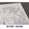 【有步骤、大彩图】郑玲玲工笔画白描底稿圆形小品《烟雨情深》牡丹鲤鱼初学者临摹花鸟线稿ZL24 商品缩略图4