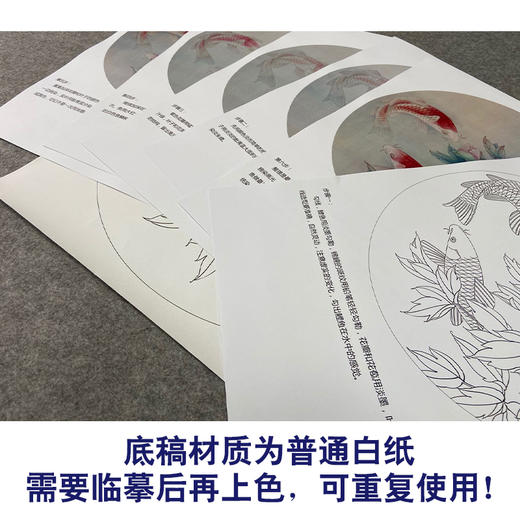 【有步骤、大彩图】郑玲玲工笔画白描稿圆形小品《夏日凝香》牡丹鲤鱼初学者临摹花鸟线稿ZL25 商品图3