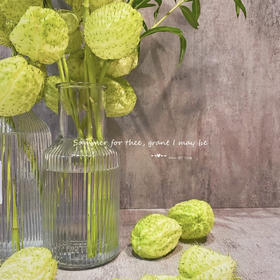 社交电商时代 医生也能卖花