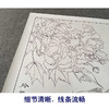 【有步骤、大彩图】郑玲玲工笔画白描底稿《锦上添花》鲤鱼初学者临摹花鸟线稿ZL39 商品缩略图4