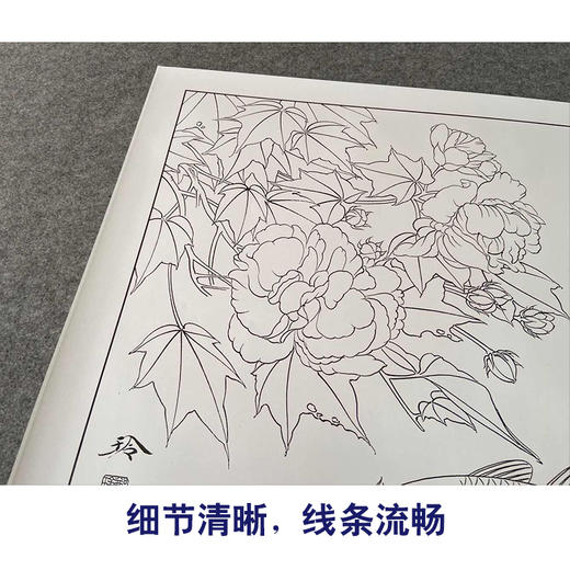 【有步骤、大彩图】郑玲玲工笔画白描底稿《锦上添花》鲤鱼初学者临摹花鸟线稿ZL39 商品图4