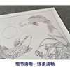 【有步骤、大彩图】郑玲玲工笔画白描底稿《月光如水》芙蓉鲤鱼初学者临摹花鸟线稿ZL38 商品缩略图4