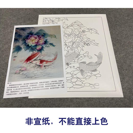 【有步骤、大彩图】郑玲玲工笔画白描底稿《逍遥游》芙蓉鲤鱼初学者临摹花鸟线稿ZL31 商品图2