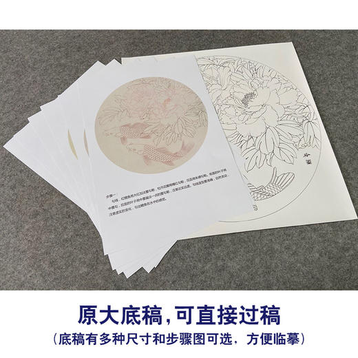 【有步骤、大彩图】郑玲玲工笔画白描底稿圆形小品《牡丹鲤鱼图》初学者临摹花鸟线稿ZL10 商品图1