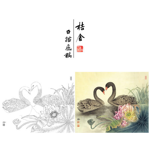 【有步骤、大彩图】郑玲玲工笔画白描底稿小品《又见荷塘春意浓》荷花天鹅初学者临摹花鸟线稿ZL02 商品图0