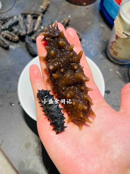 速发海参（已去沙嘴，保温杯80度水泡发24小时即可食用） 商品图3