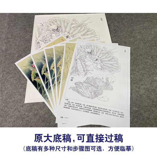【有步骤、大彩图】郑玲玲工笔画白描底稿《朝朝暮暮永相随》荷花天鹅初学者临摹花鸟线稿ZL01 商品图1