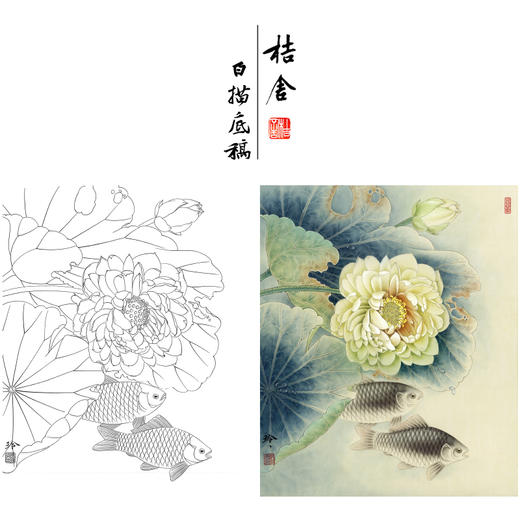 【有步骤、大彩图】郑玲玲工笔画白描底稿《荷花叶下鲫鱼醉》荷花鲫鱼初学者临摹花鸟线稿ZL44 商品图0