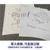 【有步骤、大彩图】郑玲玲工笔画白描稿圆形小品《和风鲤跃》牡丹鲤鱼初学者临摹花鸟线稿ZL18 商品缩略图1